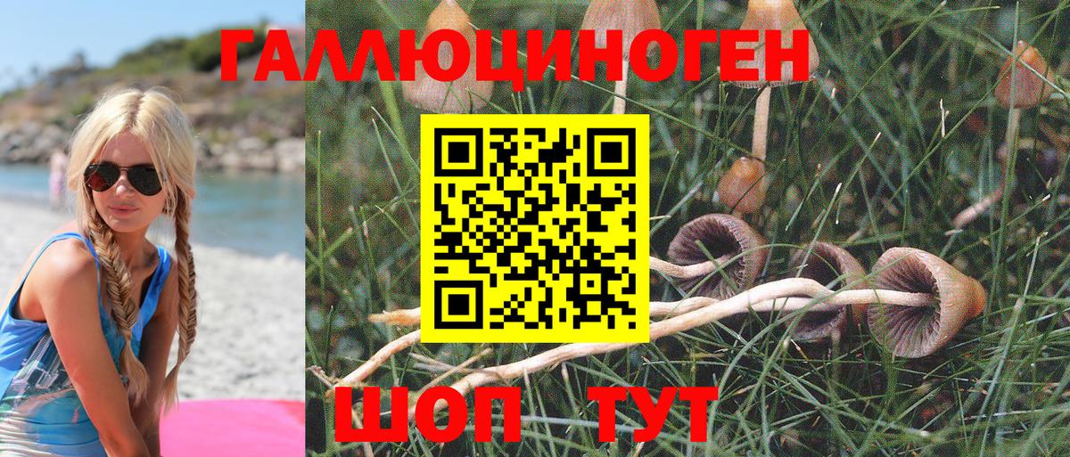 Крымск  Галлюциногенные грибы Cubensis  Вход с VPN 